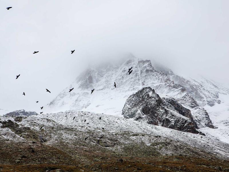 android screenshot 3